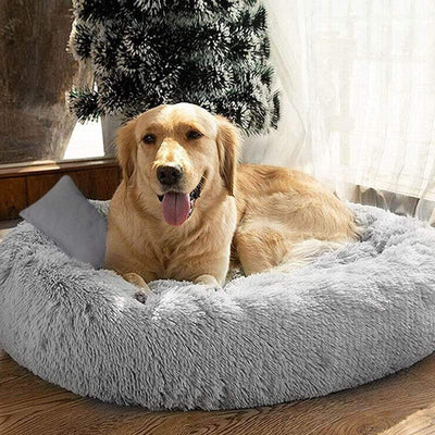 Calming Dog Bed