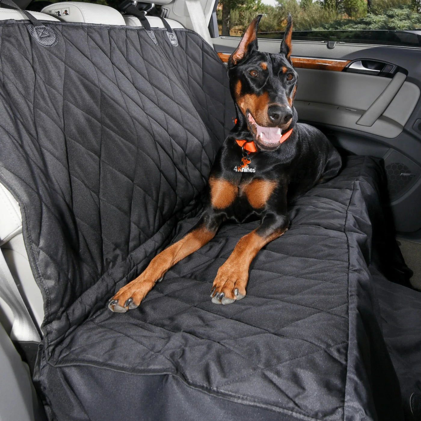 Rear Dog Seat Cover