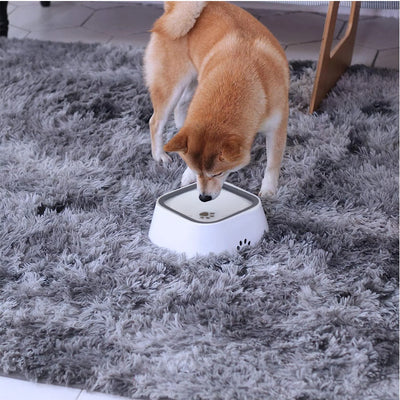 No Spill Dog Bowl