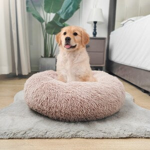 Calming Dog Bed