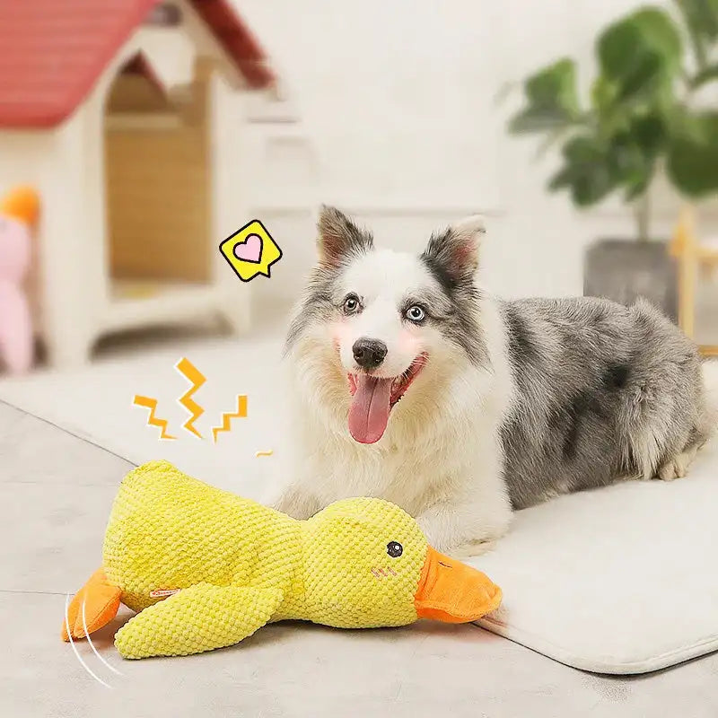 Plush Quack Duck