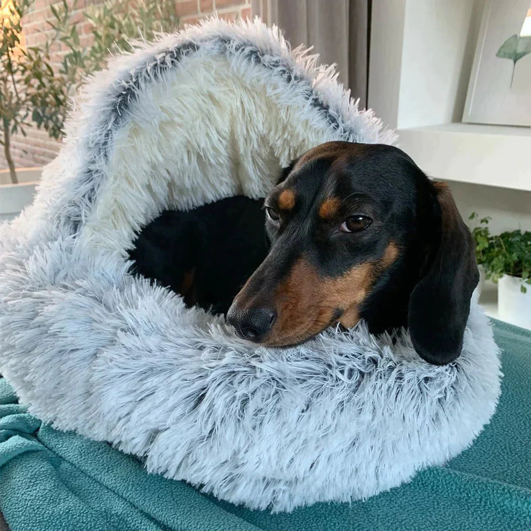 Calming Dog Cave Bed