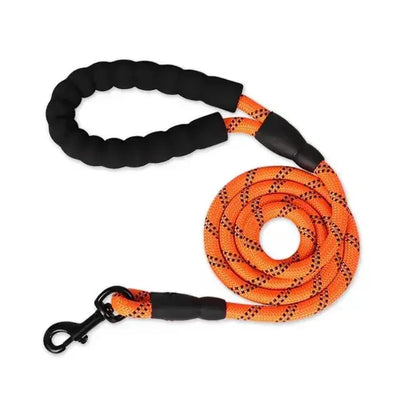 Reflective Dog Leash