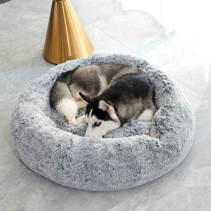 Calming Dog Bed