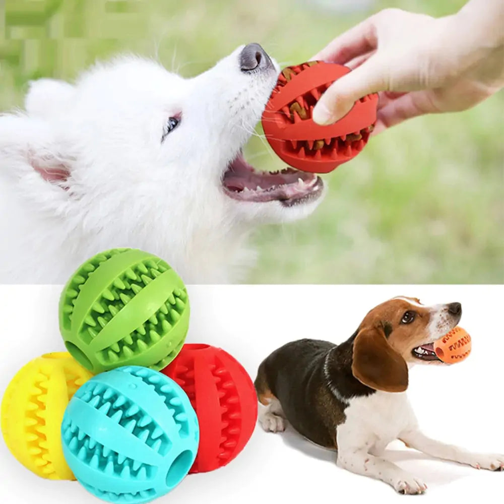 Dog Treat Chew Toy