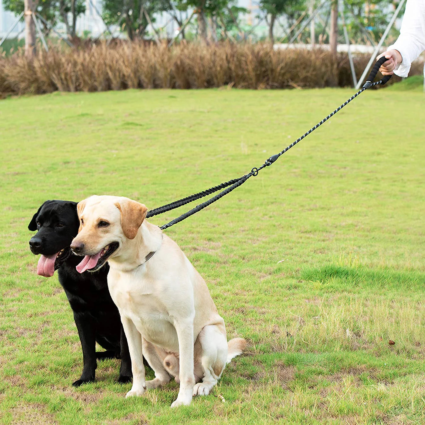 Dual Dog Leash