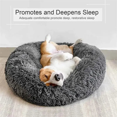 Calming Dog Bed