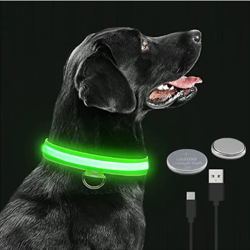 LED Dog Collar